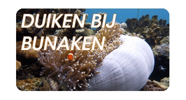 Bunaken, één van de mooiste duikplekken ter wereld