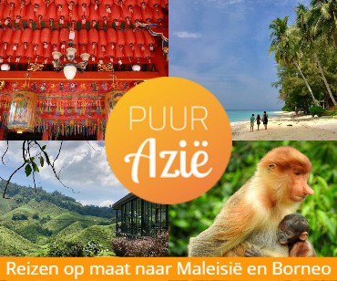 Puur Azië
