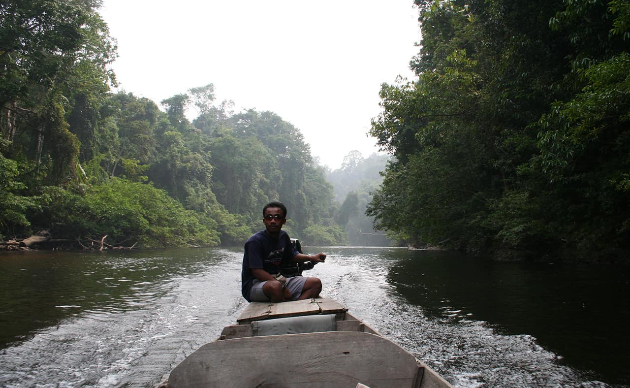 Taman Negara