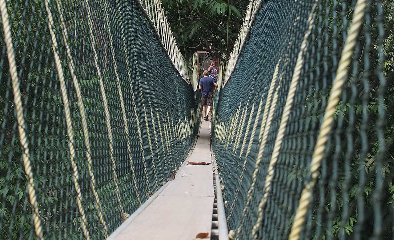 Canopy Walk bij Taman Negara