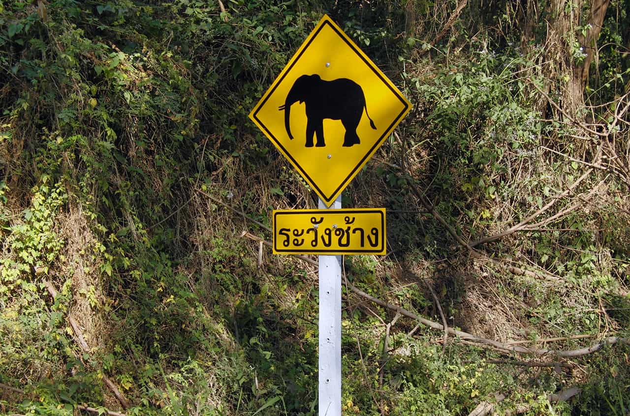 Waarschuwingsbord overstekende olifanten