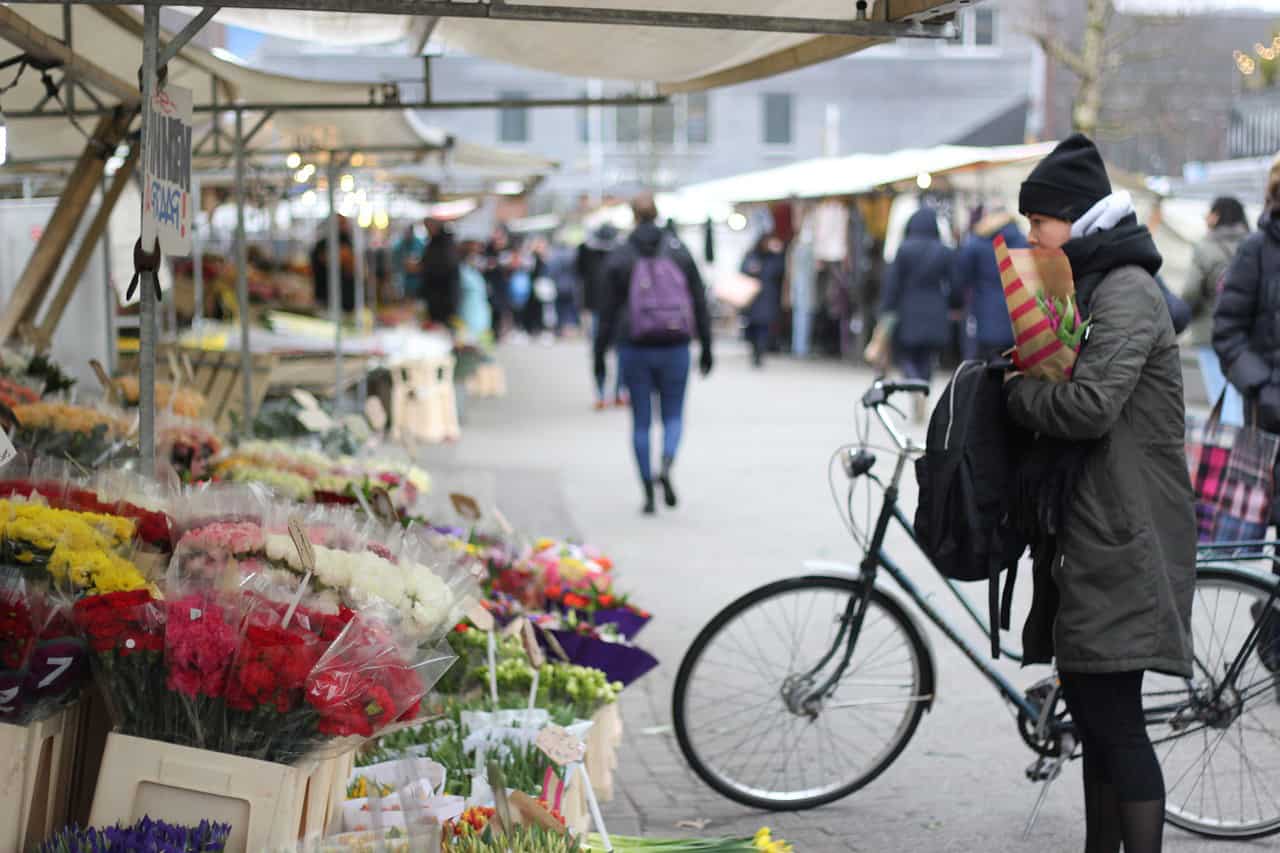 Verrassende stedentrip in Rotterdam