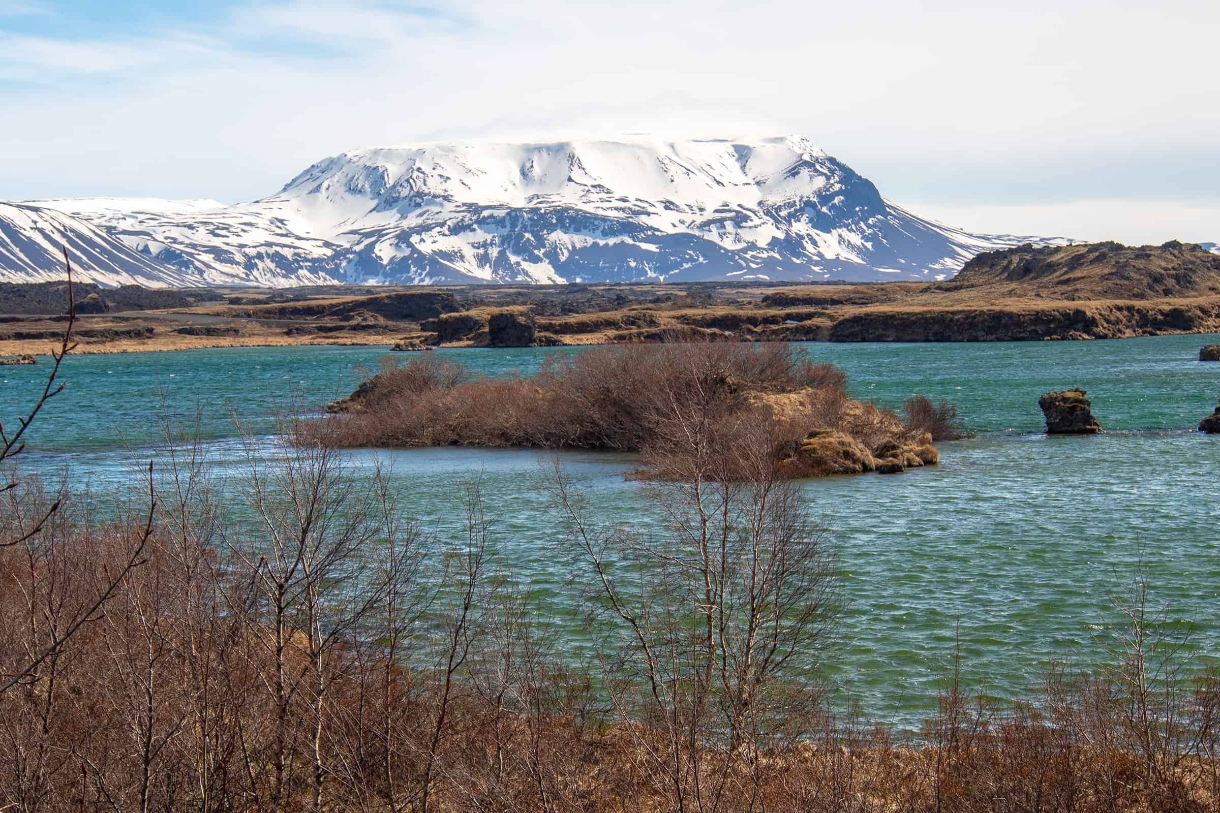 Myvatn natuurgebied in IJsland