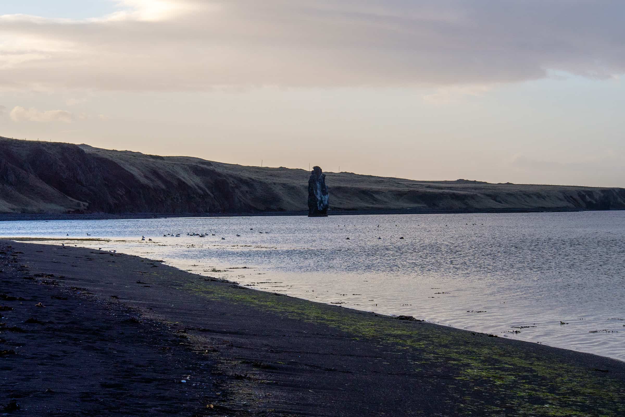 Hvítserkur