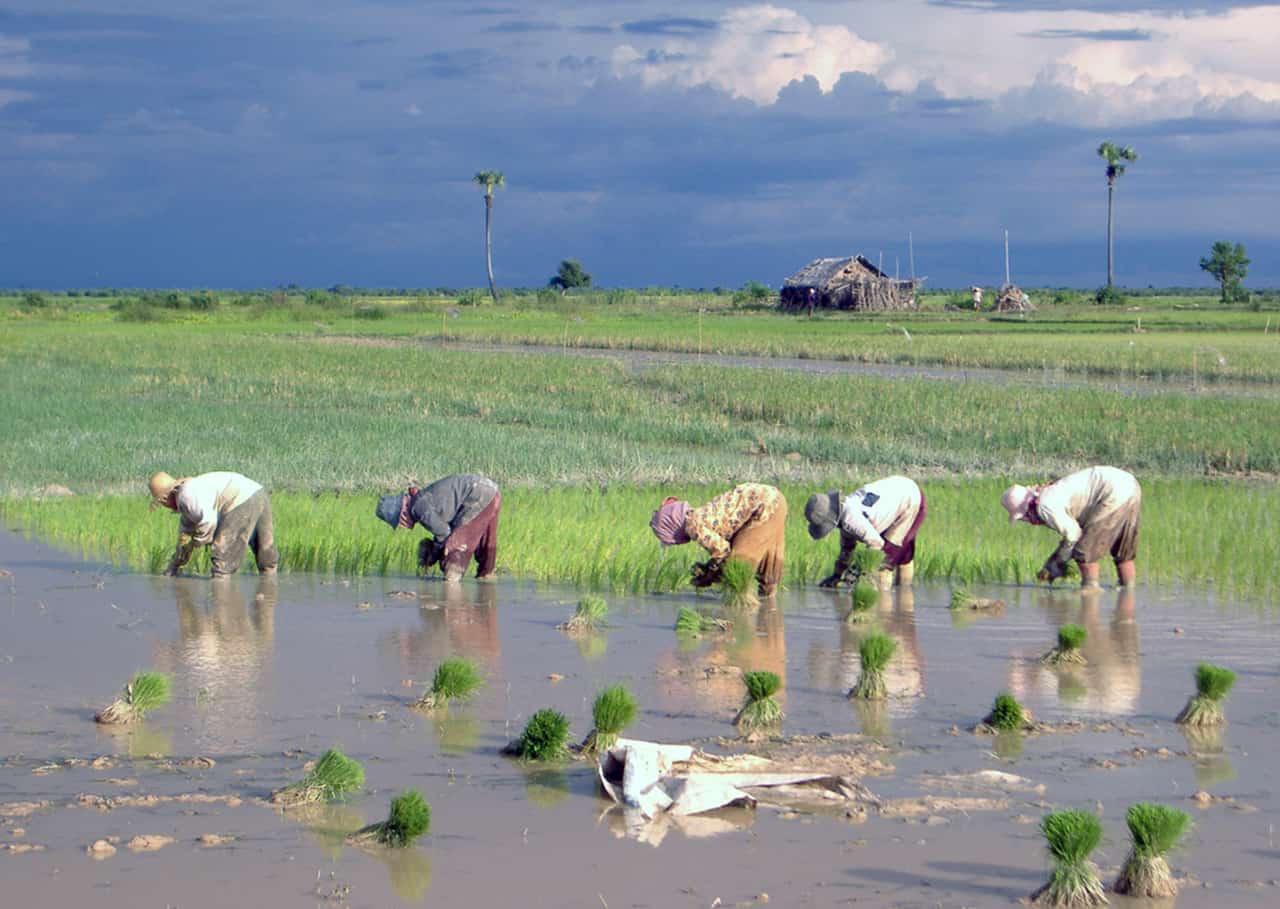 Het ongerepte binnenland van Cambodja