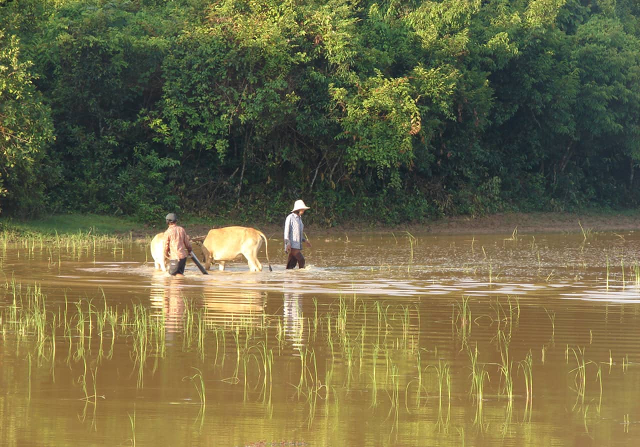 Het ongerepte binnenland van Cambodja