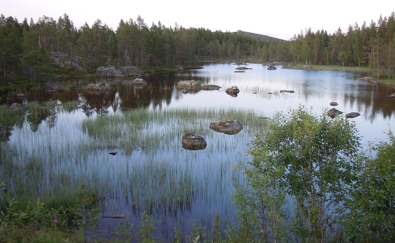 Schitterende outdoors van Arvidsjaur, Zweden
