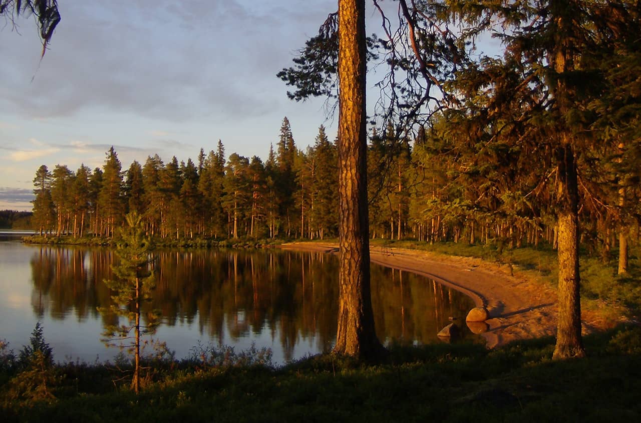 Schitterende outdoors van Arvidsjaur, Zweden
