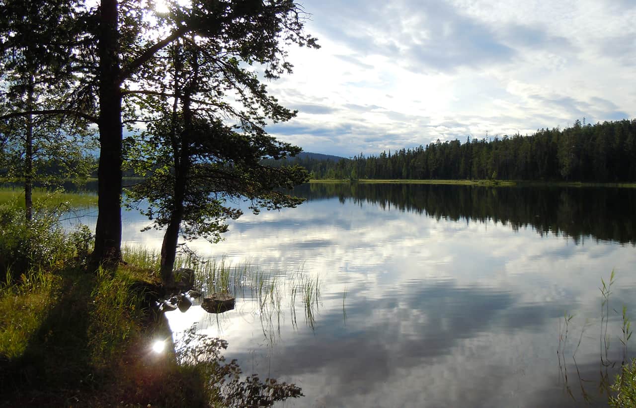 Schitterende outdoors van Arvidsjaur, Zweden