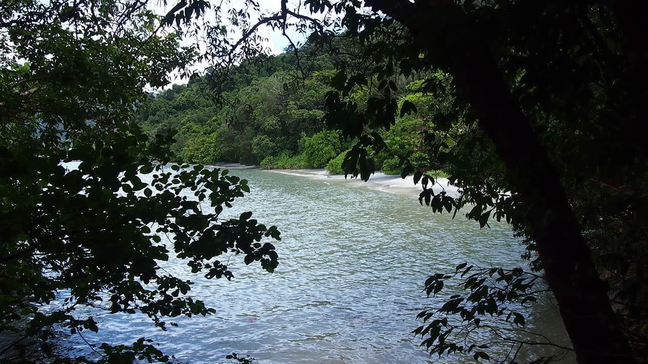 Penang National Park