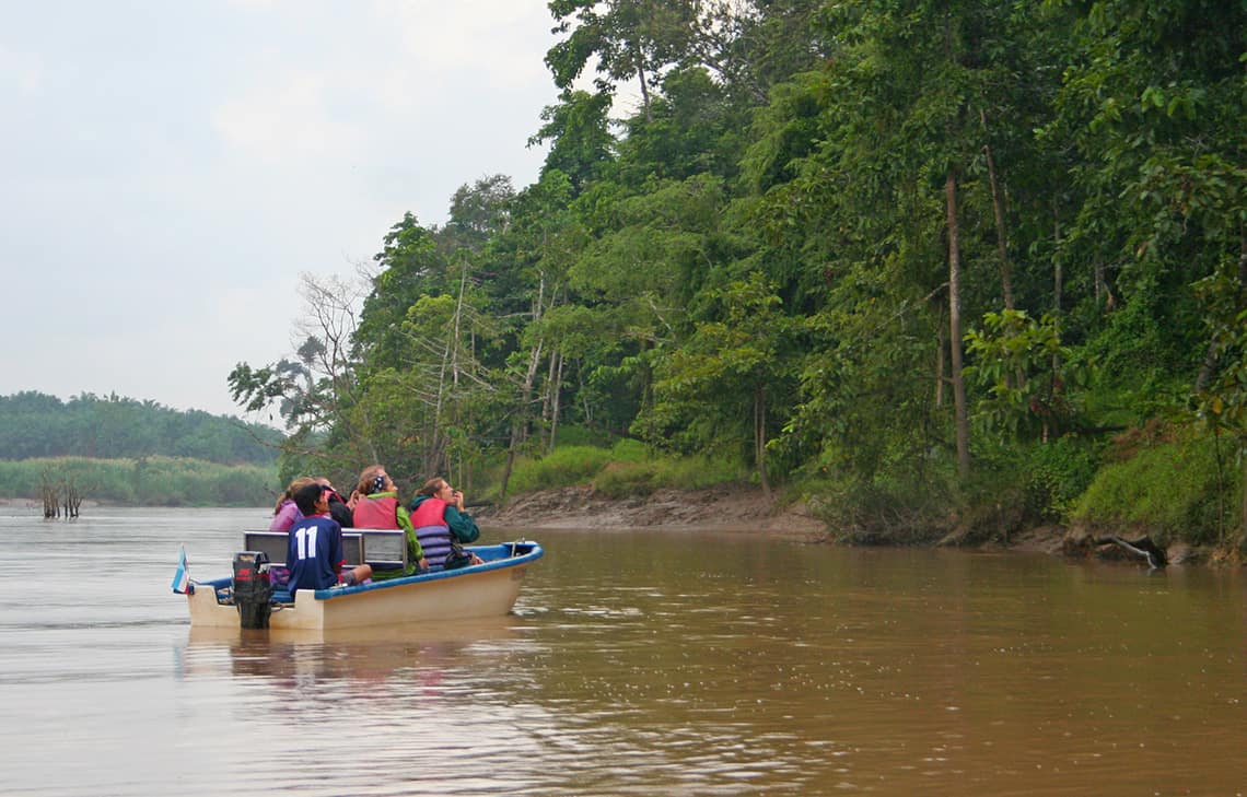 Kinabatangan Rivier