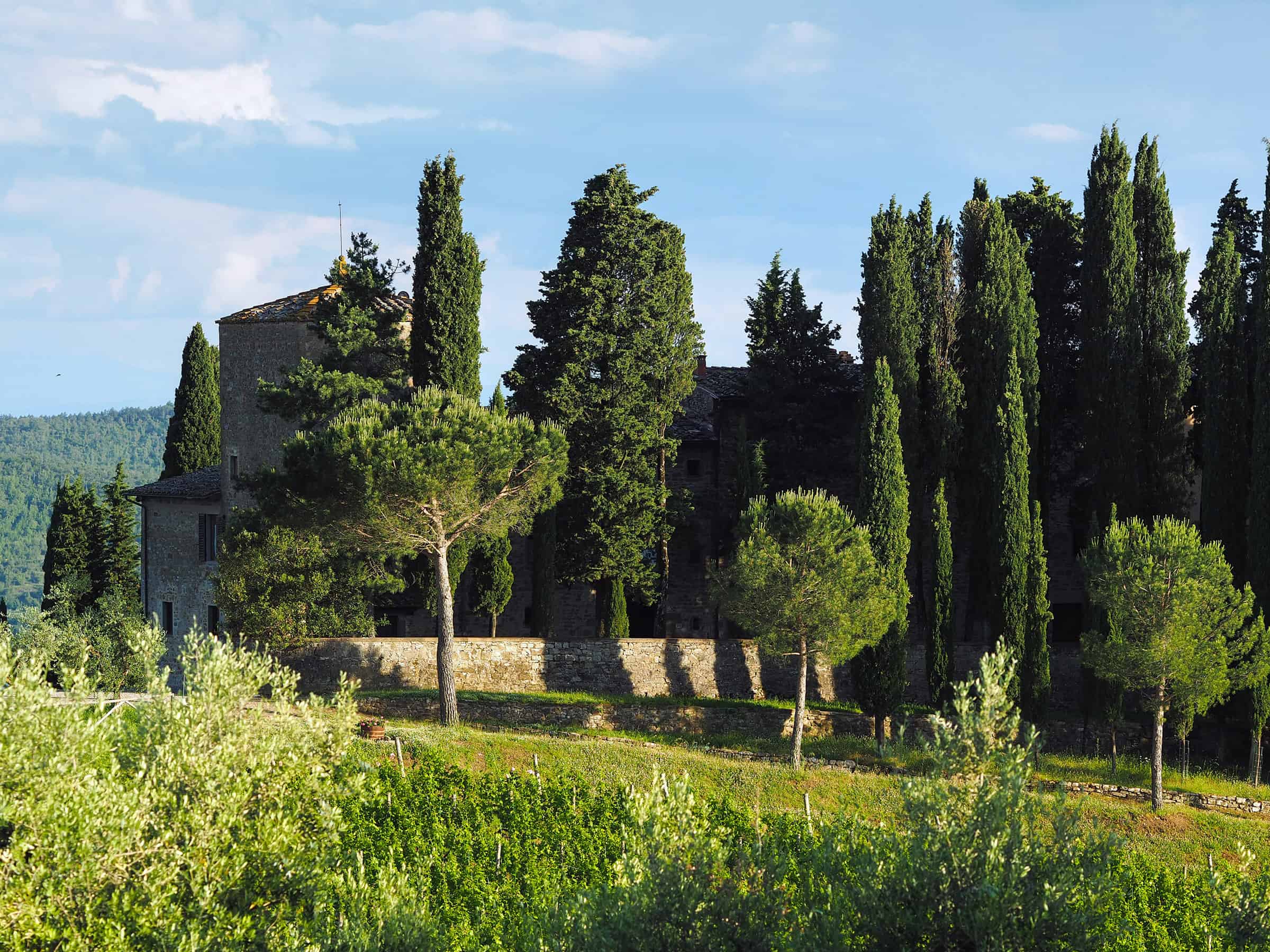 Castello d'Albola in Chianti