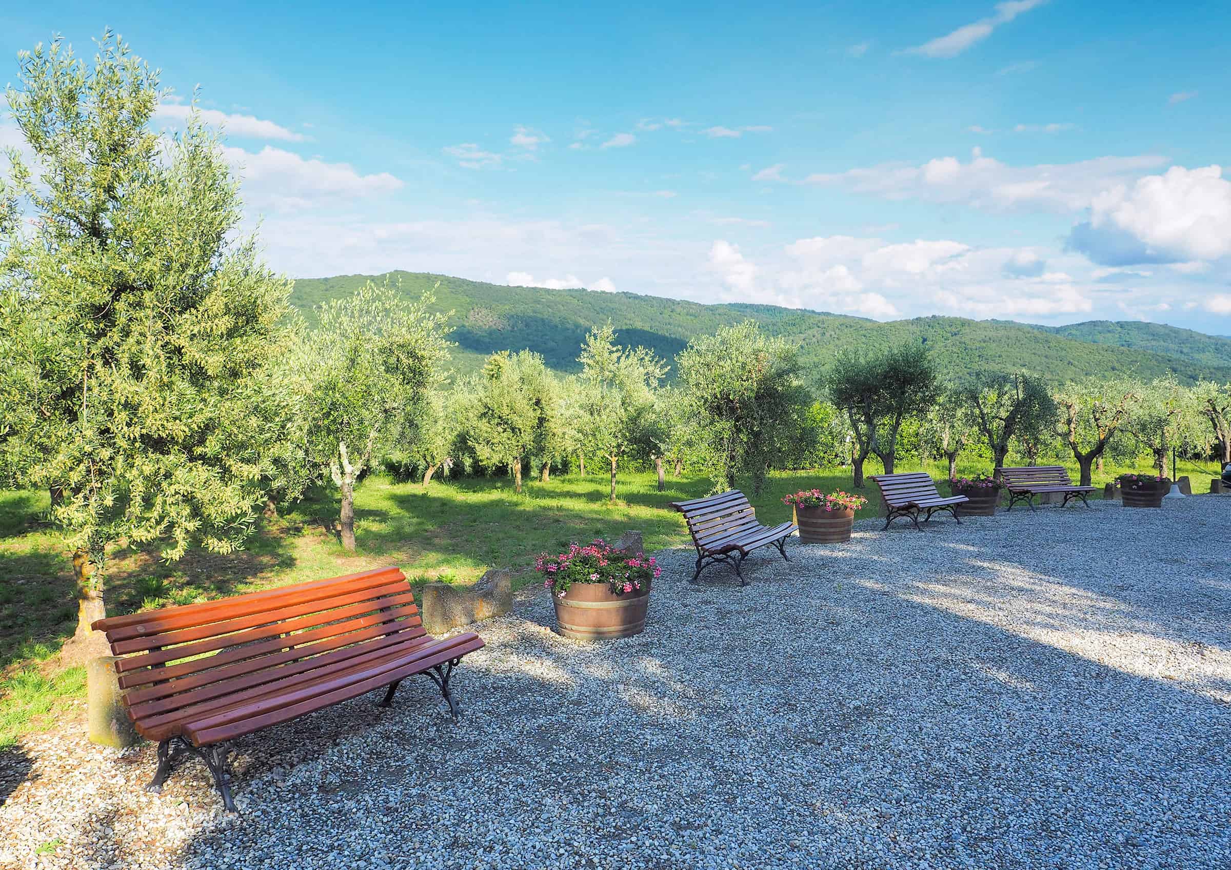 Castello d'Albola in Chianti