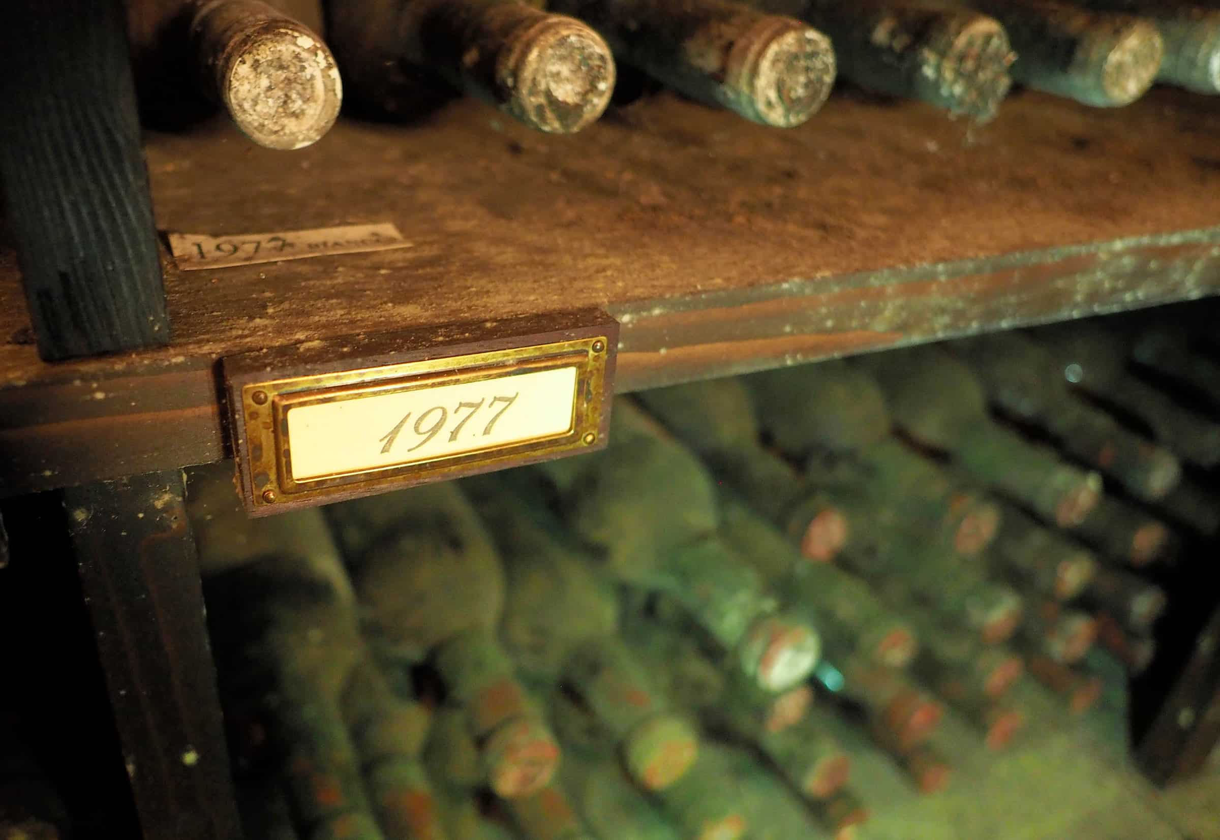 Wijnrondleiding en wijnproeverij bij Castello d'Albola
