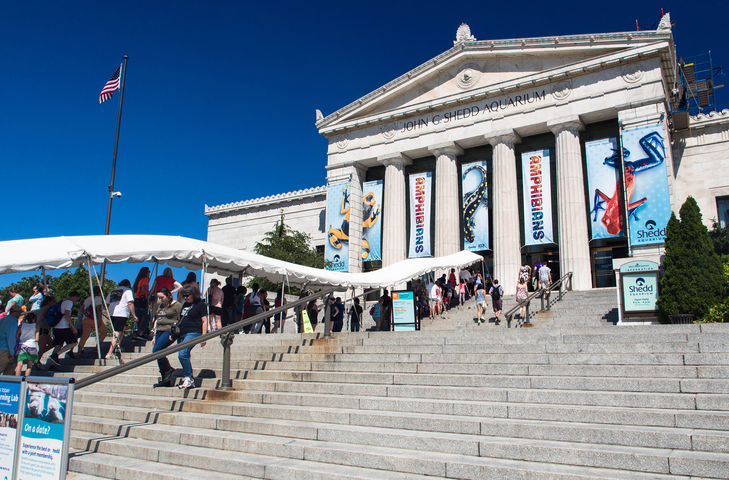 Shedd Aquarium in Chicago - het gebouw