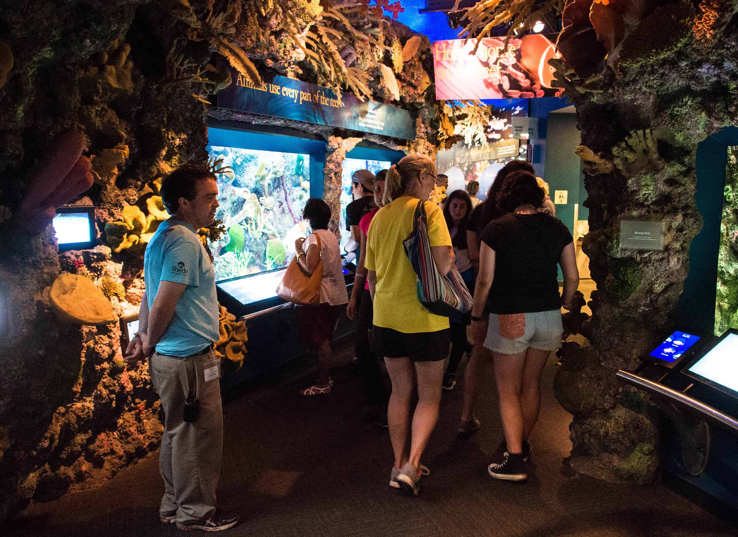 Shedd Aquarium in Chicago