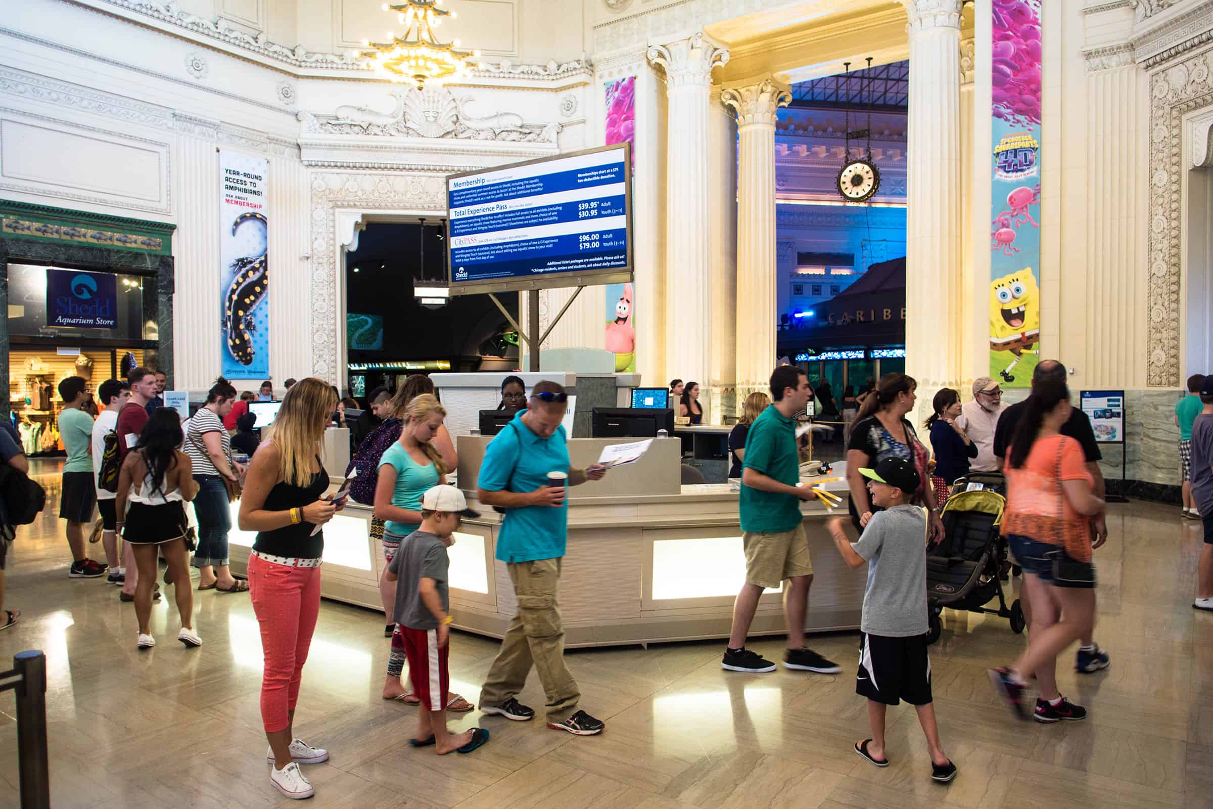 Shedd Aquarium in Chicago