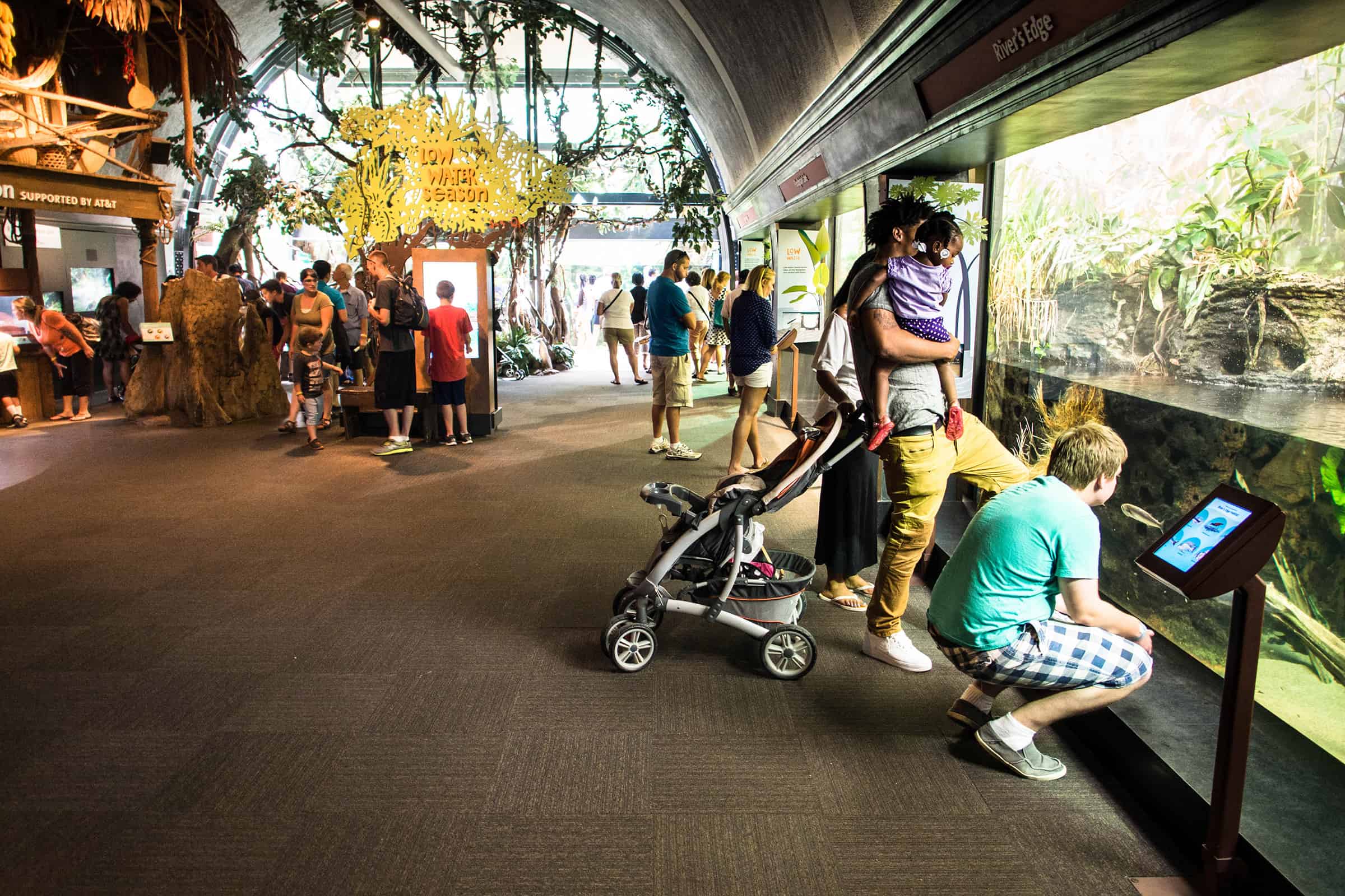 Shedd Aquarium in Chicago