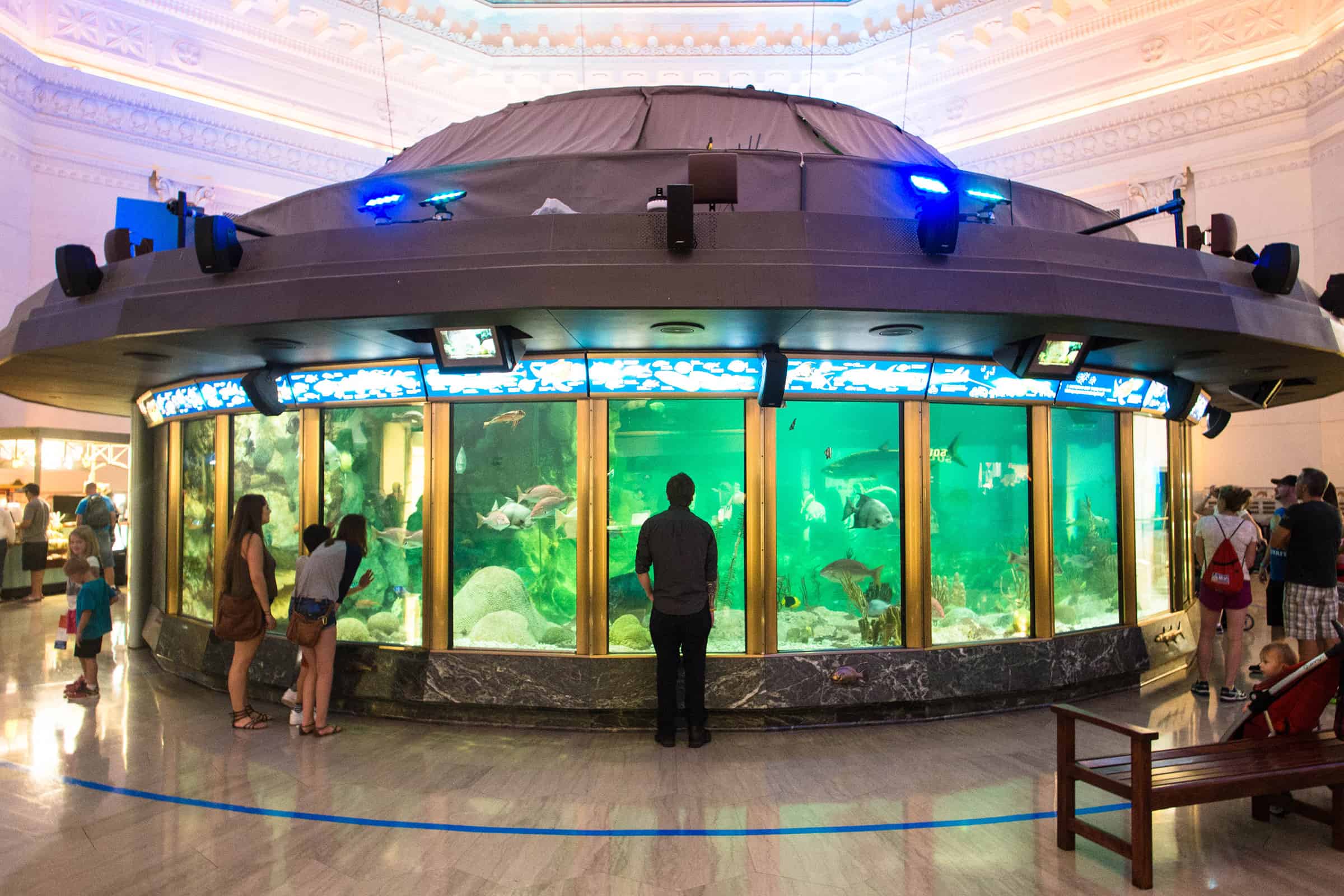 Shedd Aquarium in Chicago