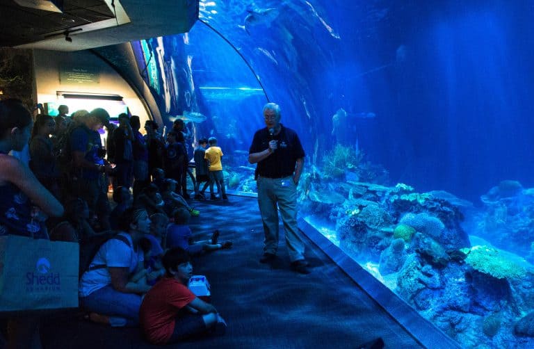 Visjes kijken bij het Shedd Aquarium in Chicago Reisvormen