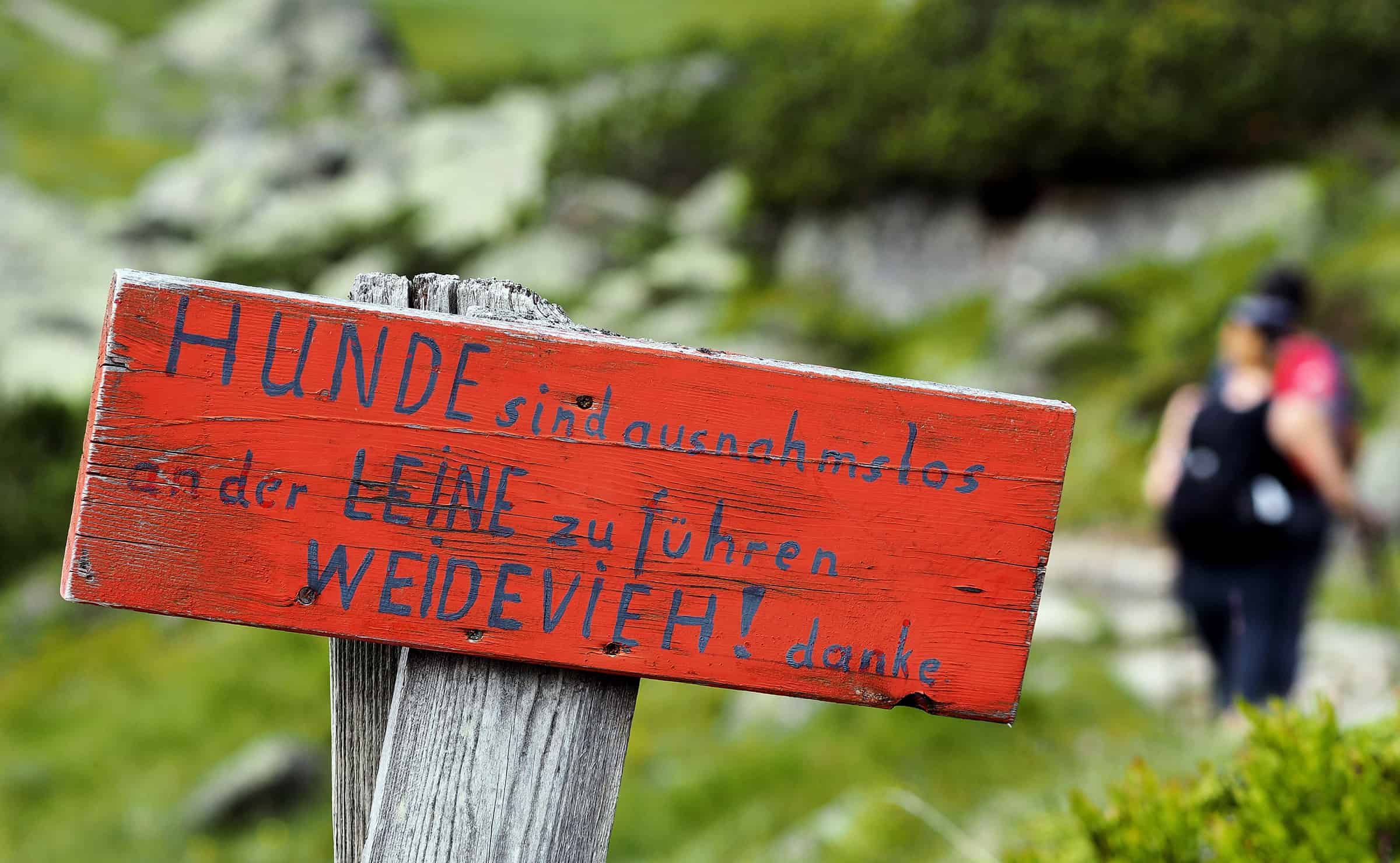 Impressie van het prachtige Stubai in Oostenrijk 5