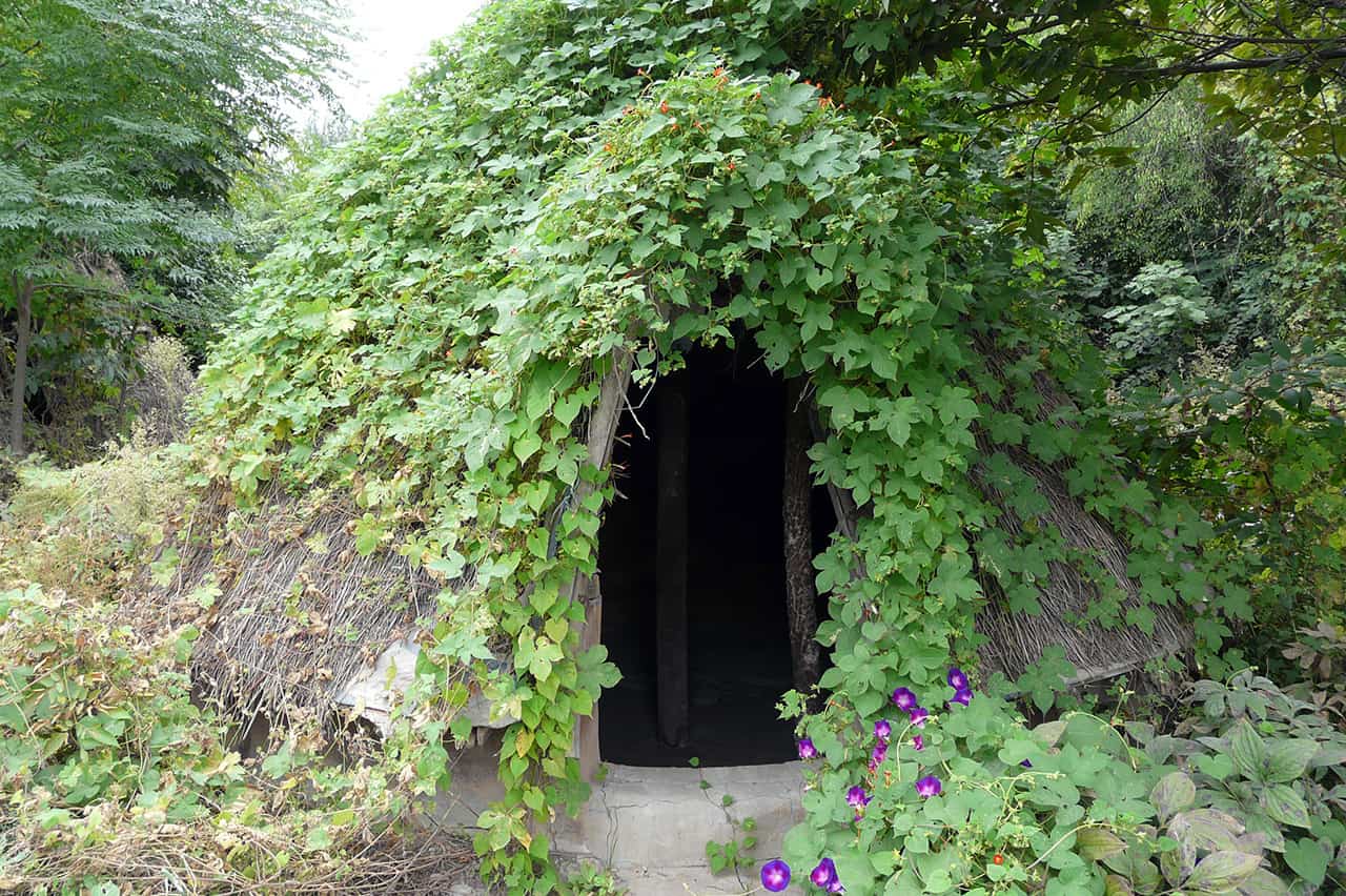 Banpo Village Museum