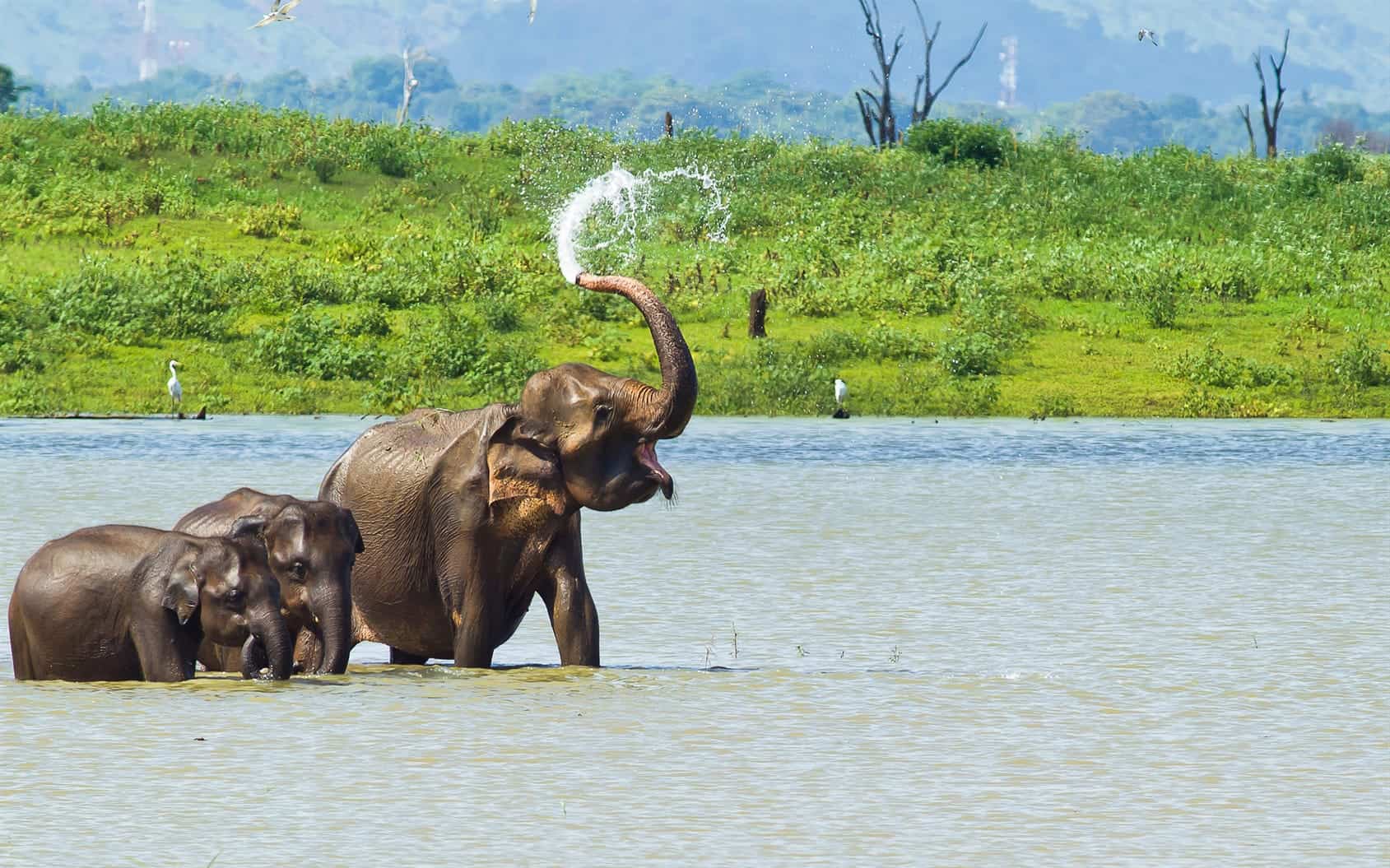 Sri Lanka