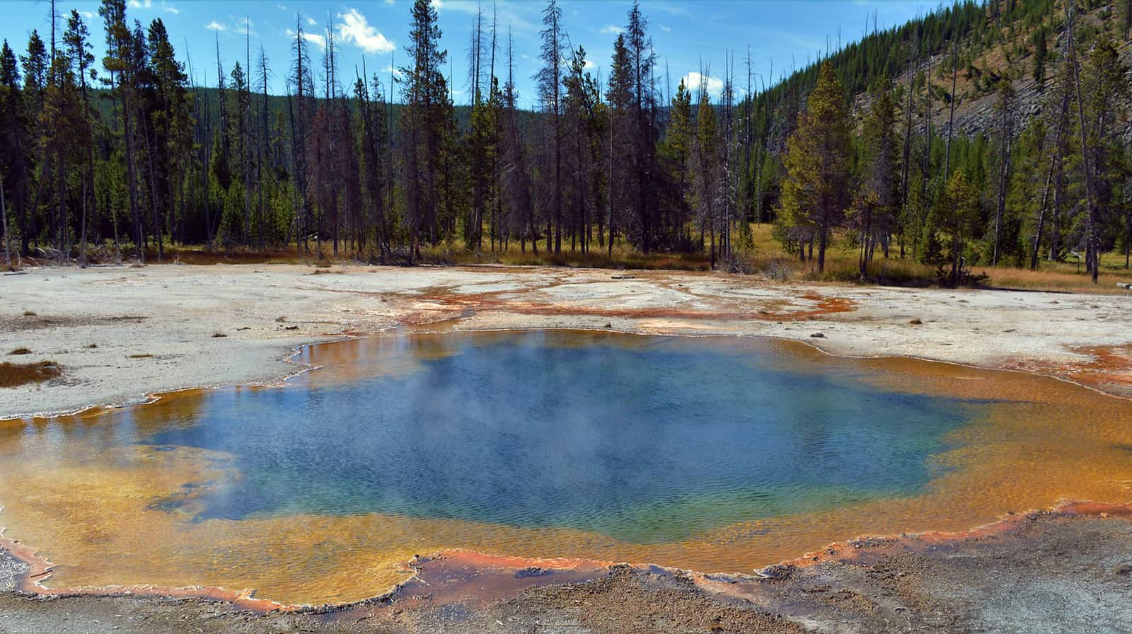 Yellowstone