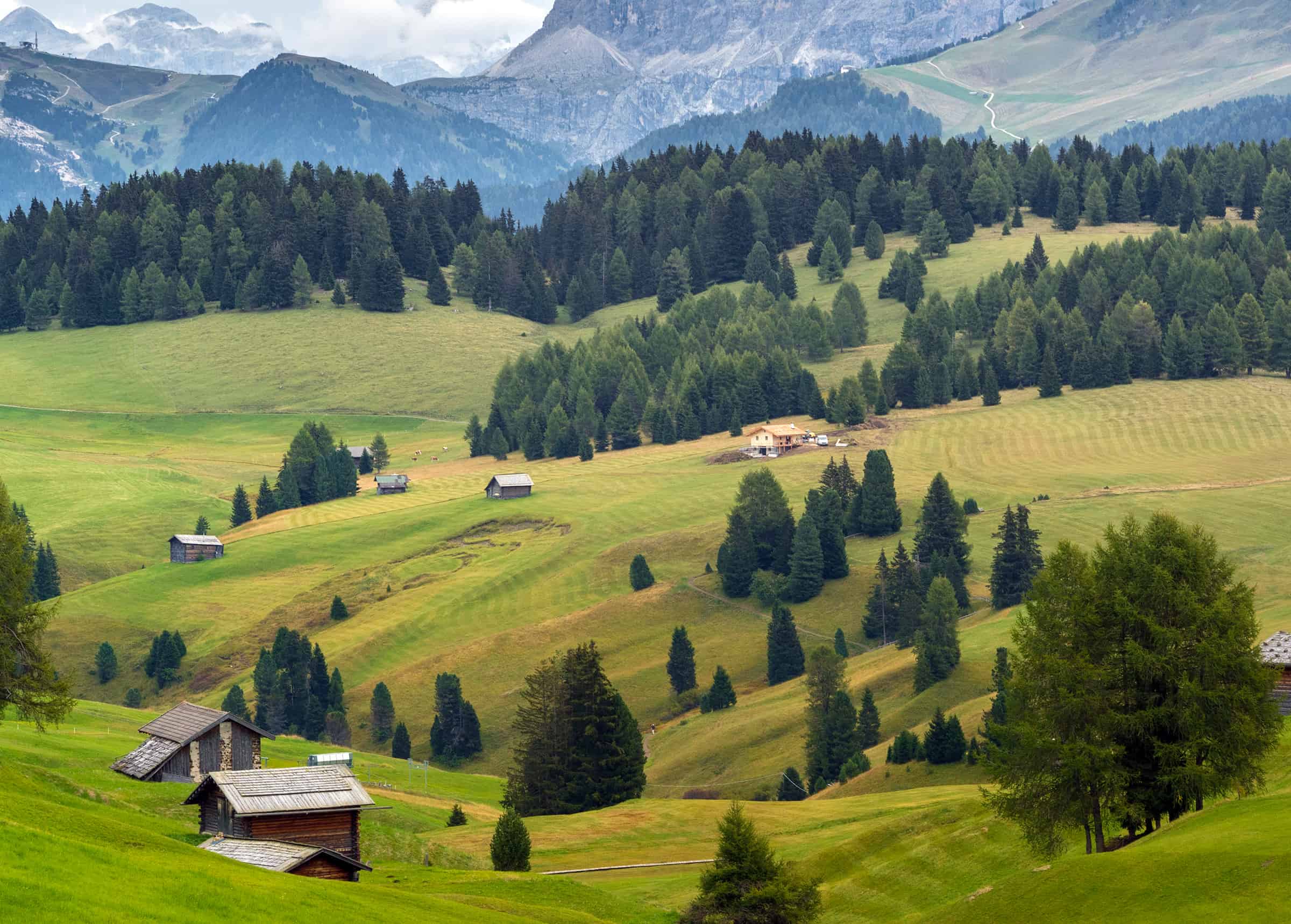 Alpe di Siusi