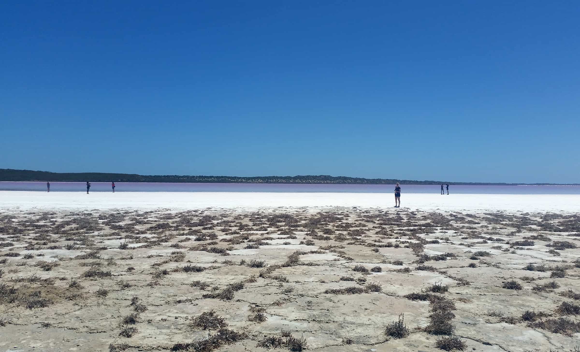 Het beroemde Pink Lake