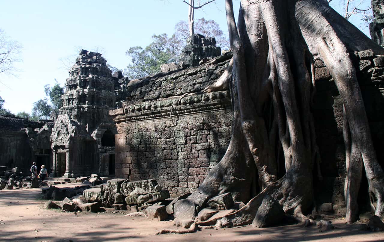 Ta Prohm