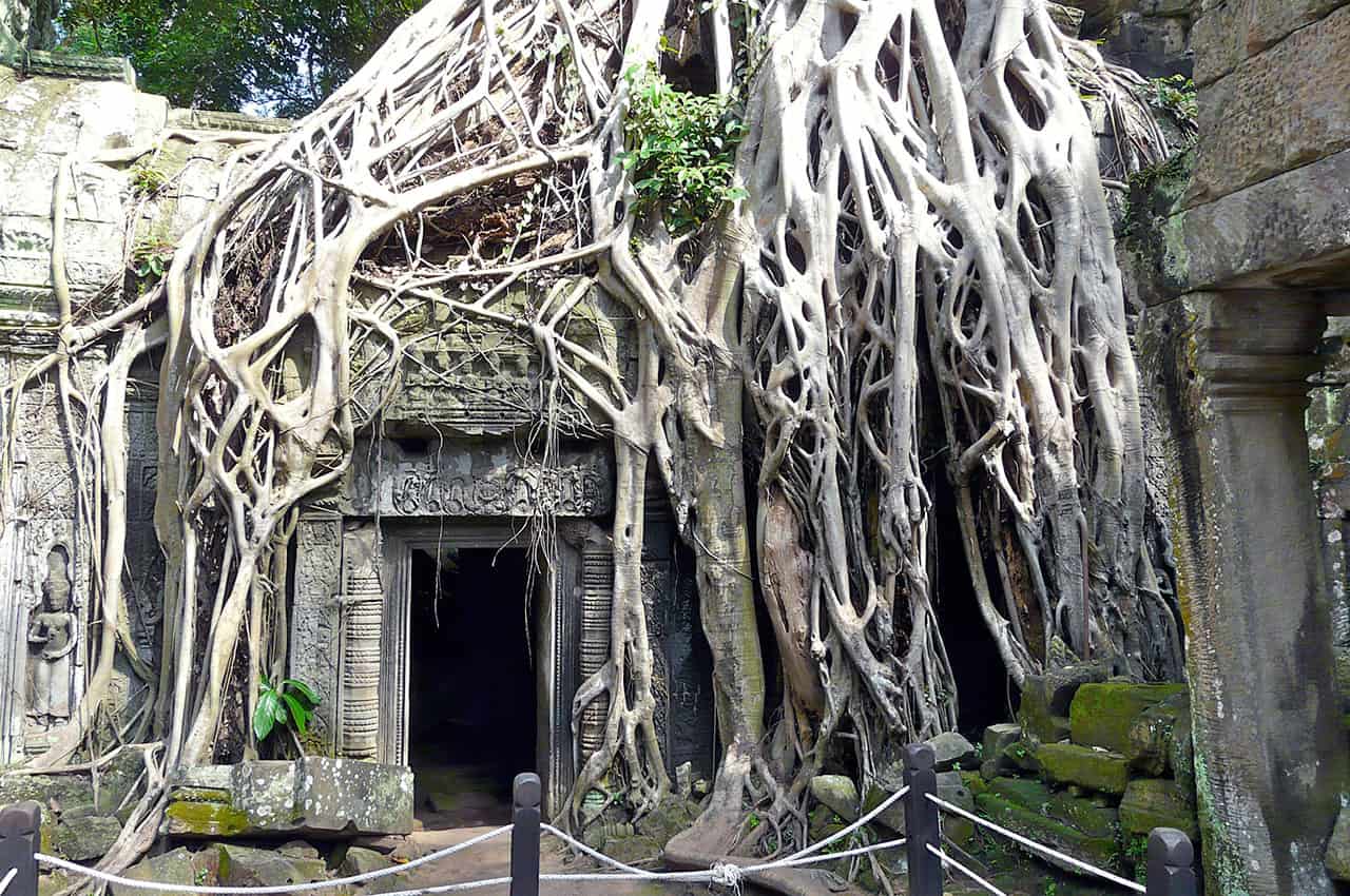 Ta Prohm