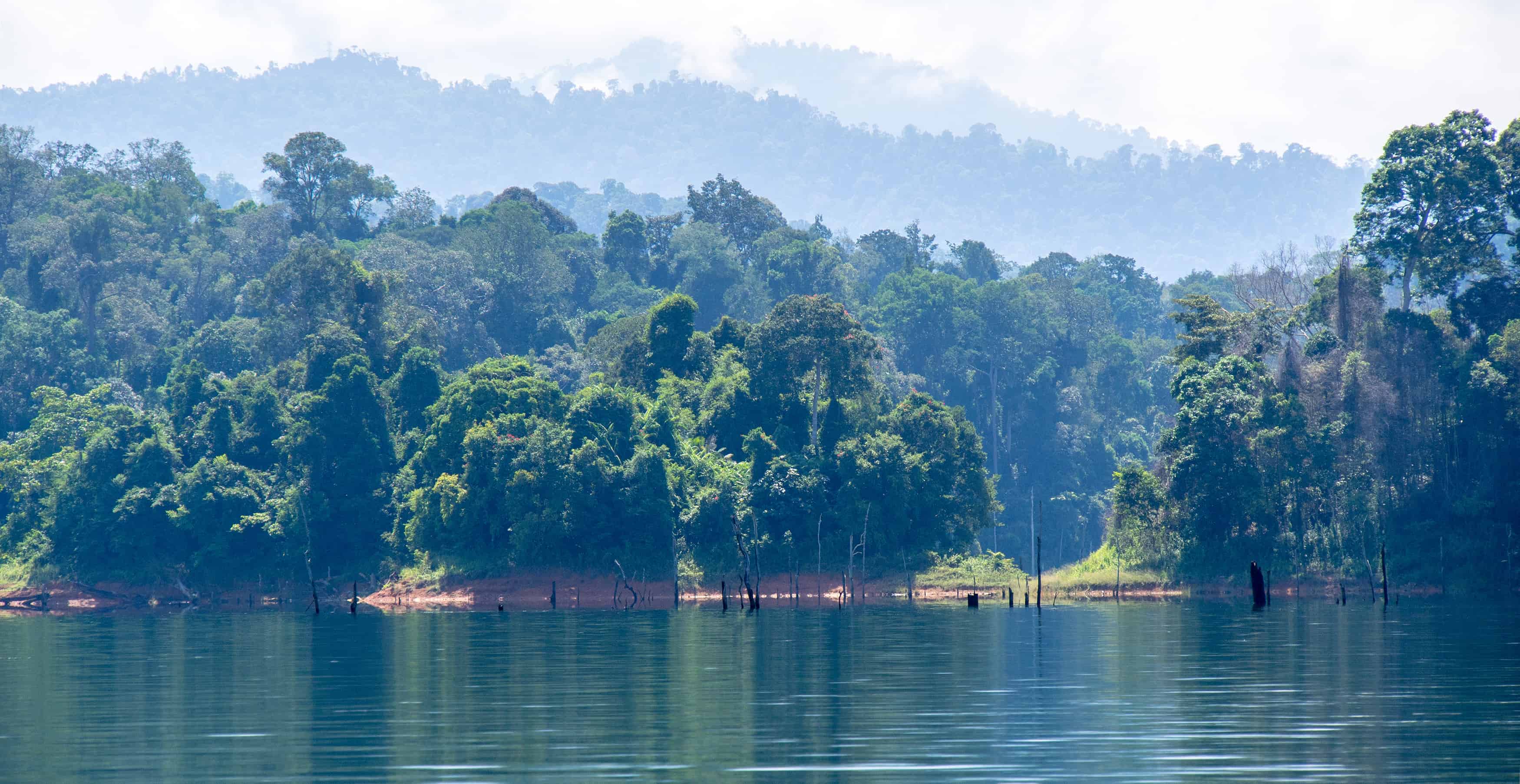 Mooiste natuurparken in Maleisië Reisvormen
