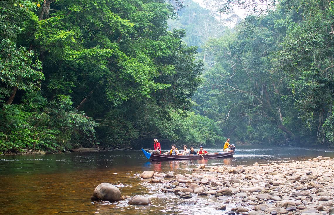 Taman Negara