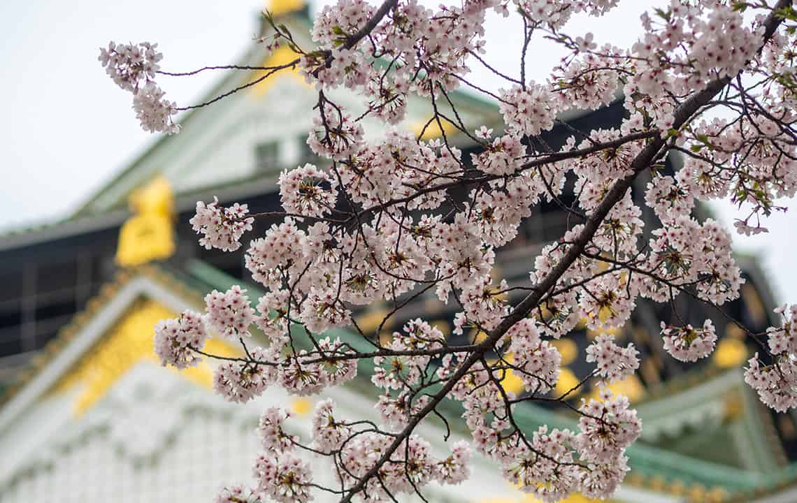 Osaka Castle