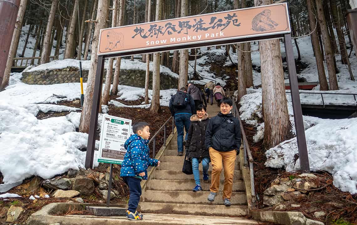 Jigokudani Snow Monkey Park