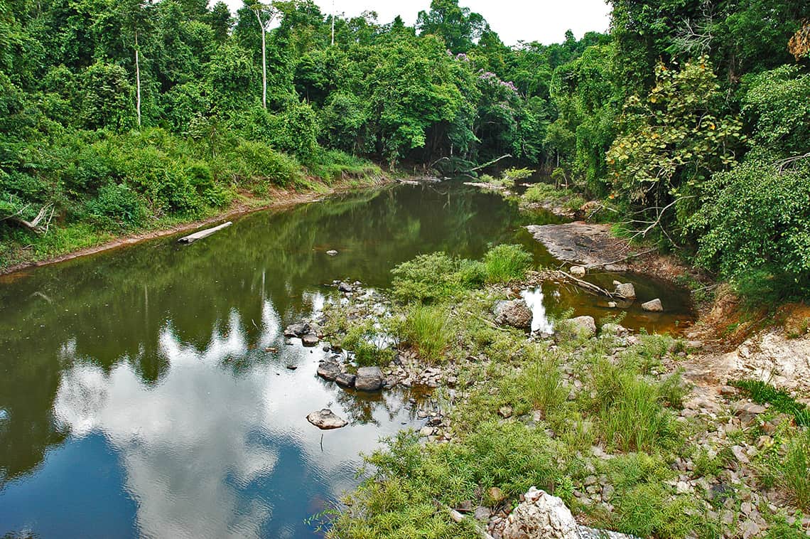 Khao Yai Nationaal Park