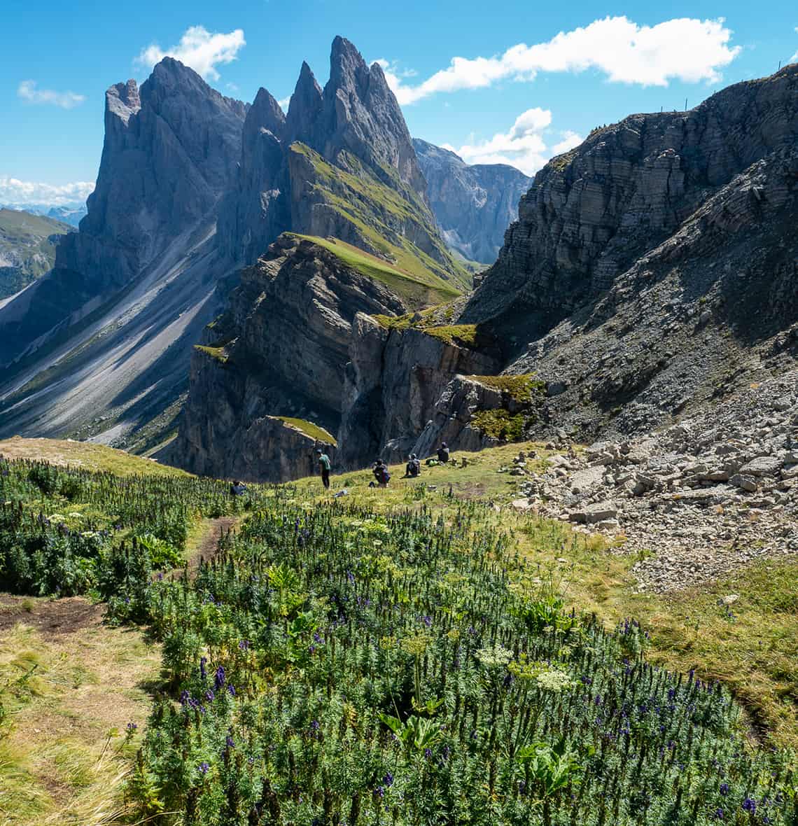 Seceda in de Dolomieten