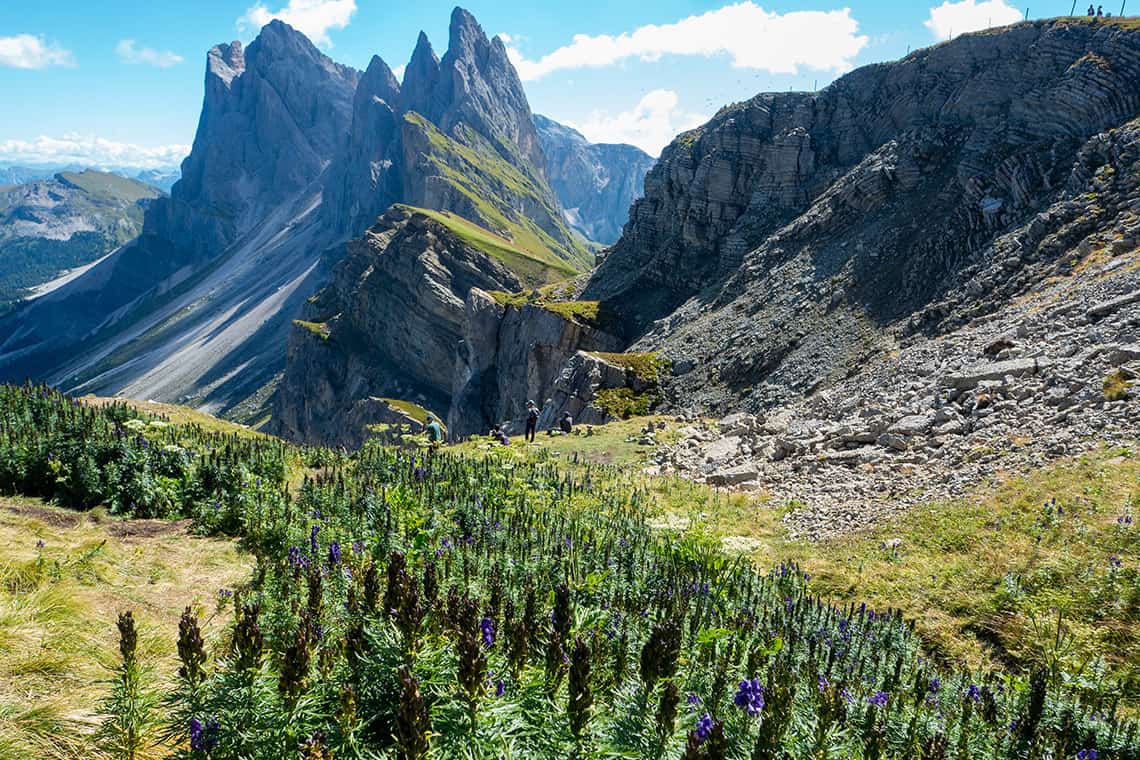 Seceda - Col Raiser hike