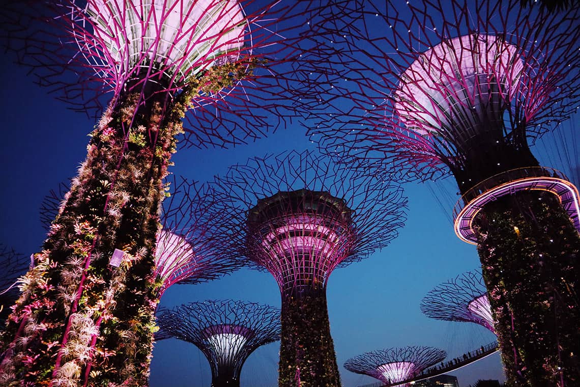 Gardens by the Bay